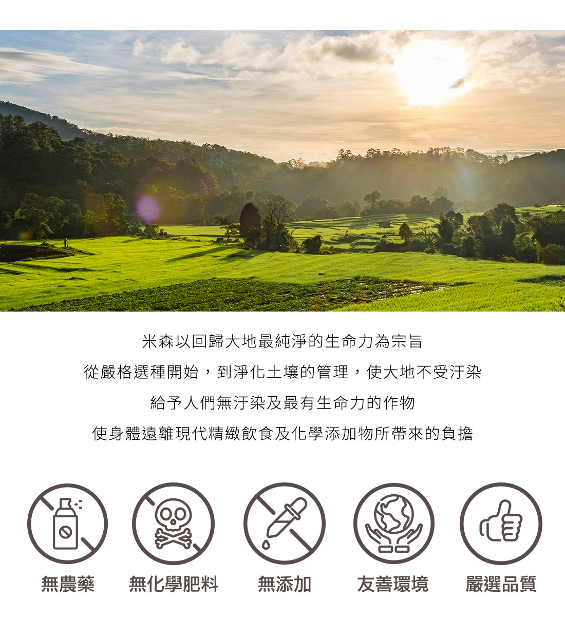 米森有機綜合堅果仁
